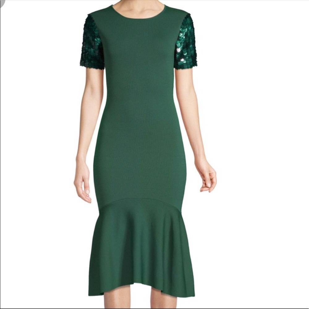 Sachin + Babi dress. Perfect for holidays . Never worn